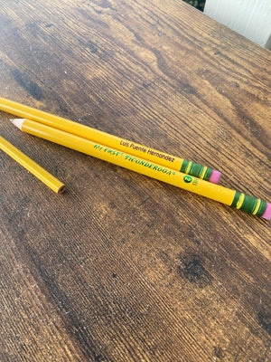 Little learners beginner  my first pencils